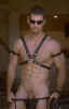 pic014.jpg (31091 byte)