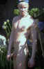 pic016.jpg (39660 byte)