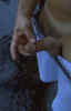 pic026.jpg (32542 byte)