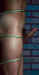 17.jpg (20617 byte)