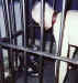 12.jpg (14707 byte)